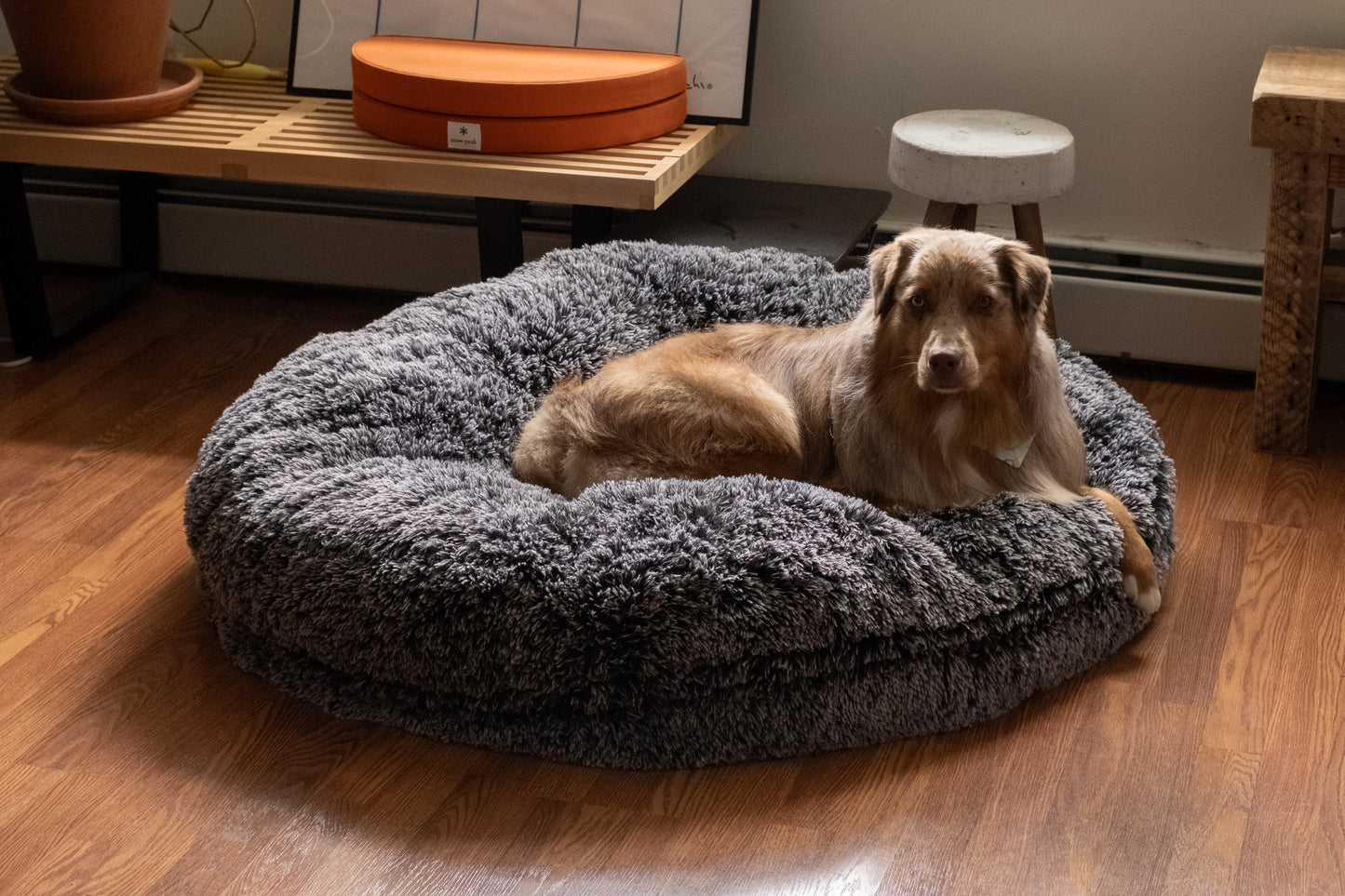 BAGEL DOG BED | ECO-FRIENDLY PLUSH ROUND BED WITH WASHABLE COVER