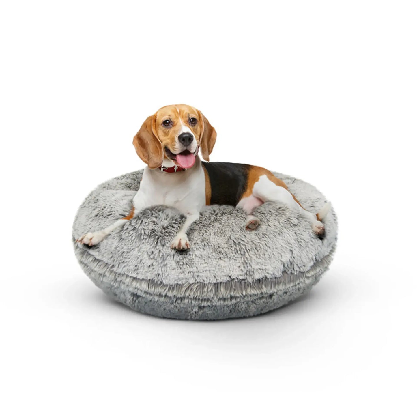 Beagle laying on medium-size gray plush round dog bed with fluffy faux fur texture