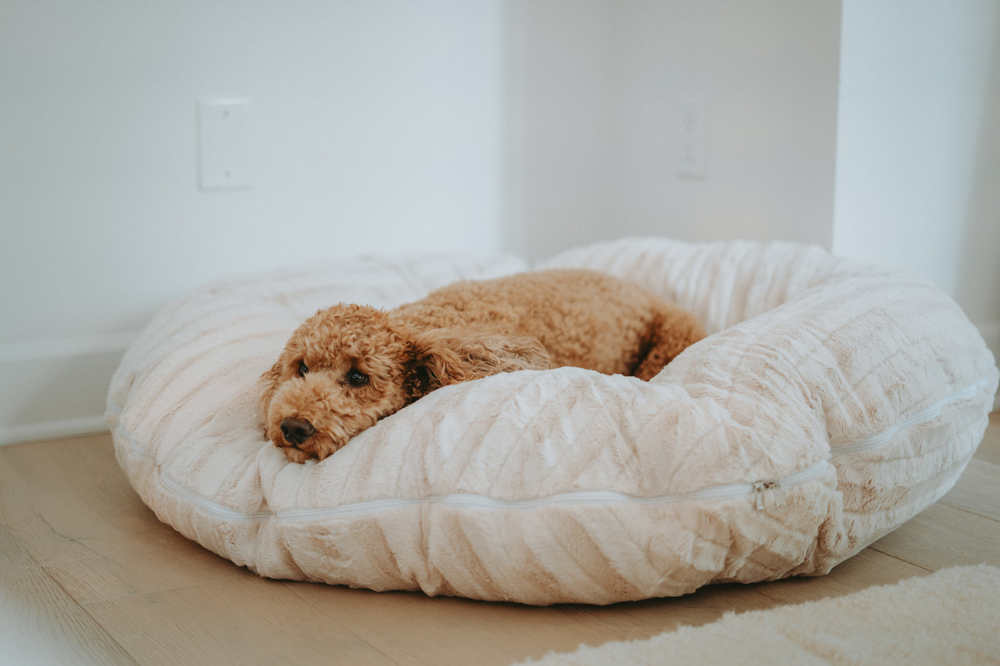 BAGEL DOG BED | ECO-FRIENDLY PLUSH ROUND BED WITH WASHABLE COVER