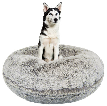 Siberian Husky sitting in cozy, high-walled round gray dog bed